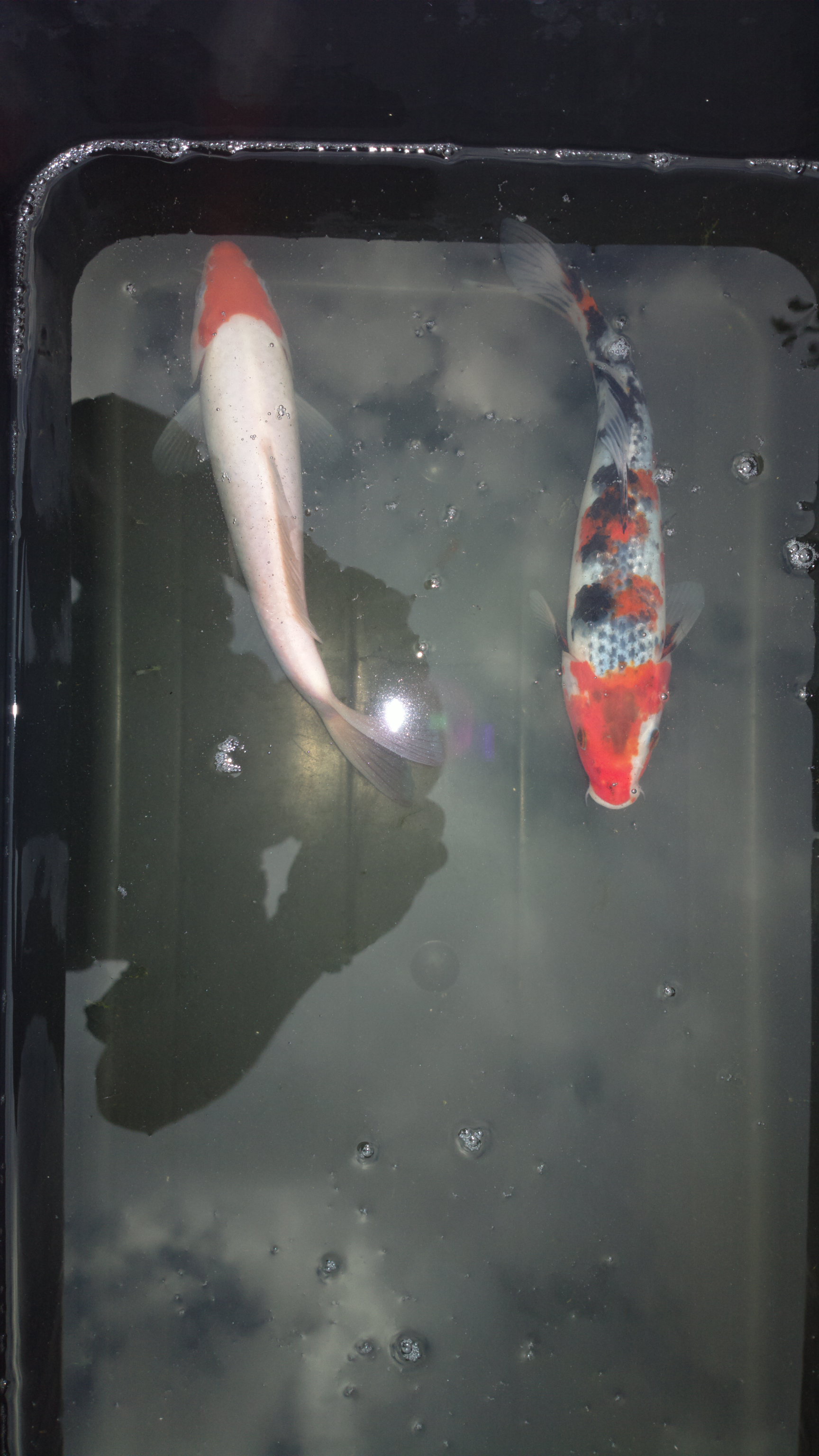 2019-08-13-3149